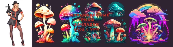 дурь Белокуриха