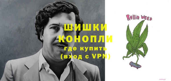 ПСИЛОЦИБИНОВЫЕ ГРИБЫ Балабаново