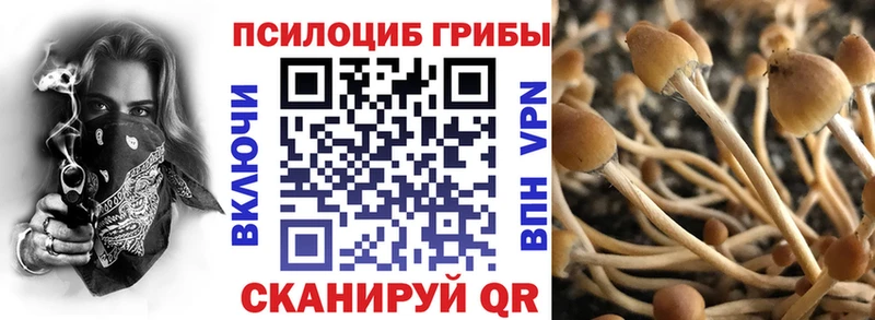Галлюциногенные грибы Psilocybine cubensis  как найти закладки  Кириши 